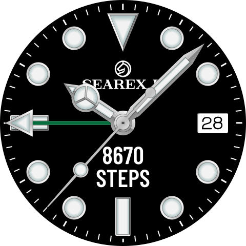GTW-Searex II